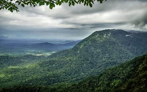 Best Homestays in Agumbe