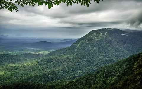 Things to Do in Agumbe