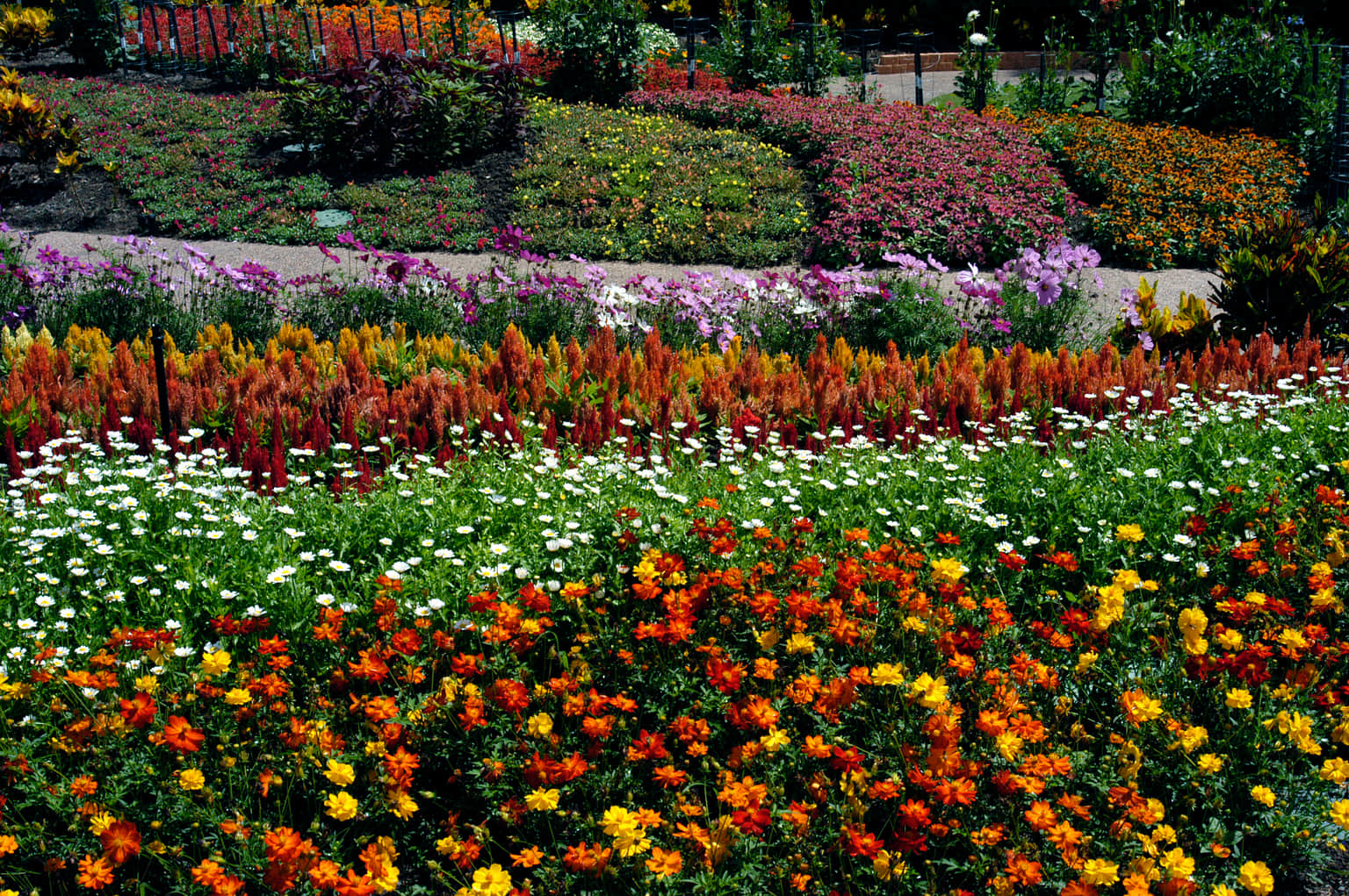Roma Street Parkland, <em>Brisbane</em>