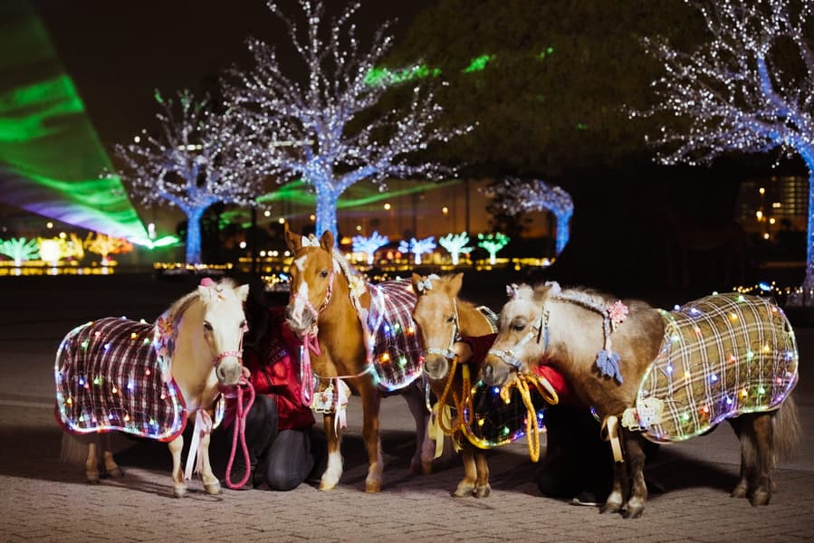 Tokyo Mega Illumination Tickets Image