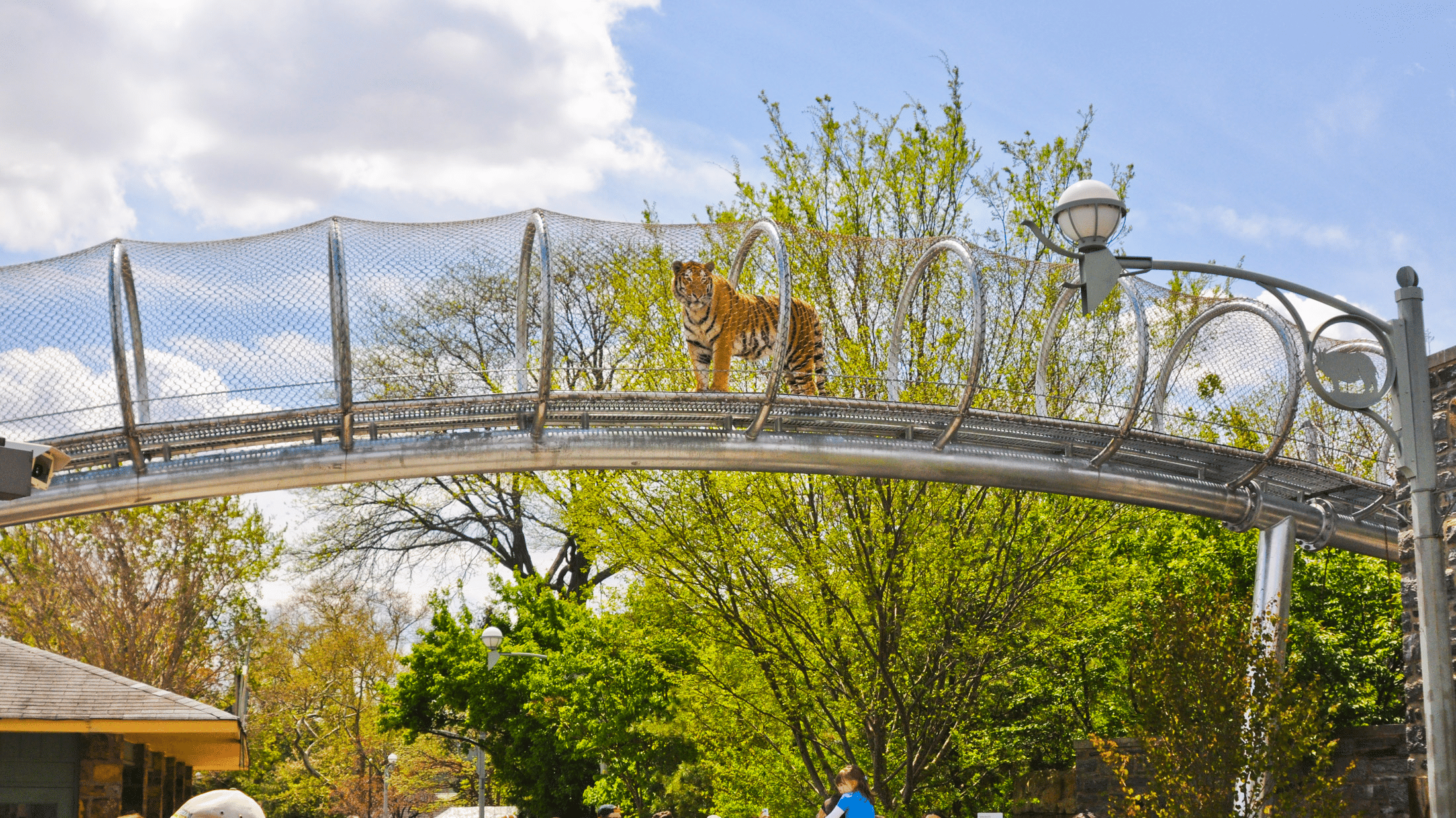 Philadelphia Zoo Overview