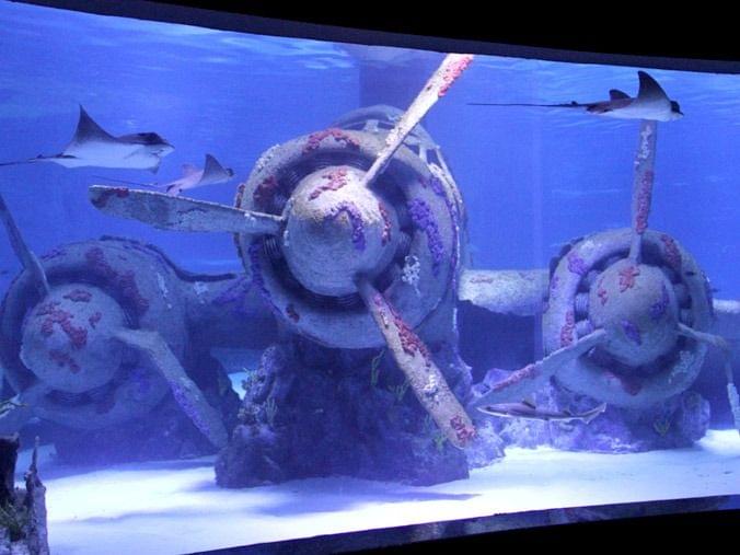 Antalya Aquarium Ticket