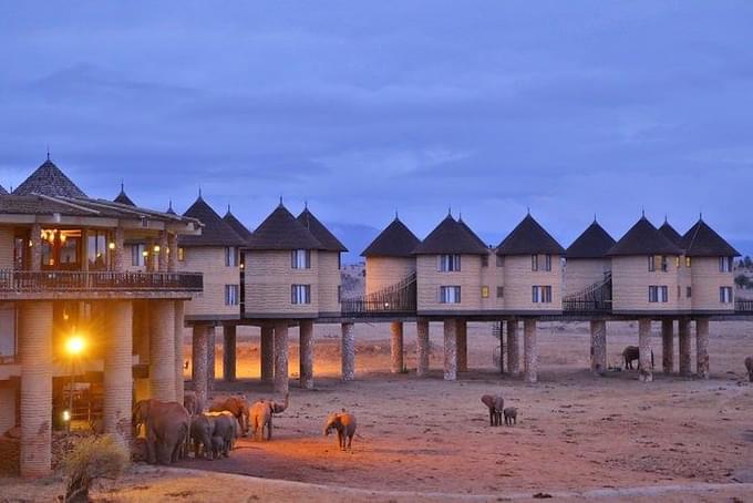 Salt Lick Safari Lodge.jpg