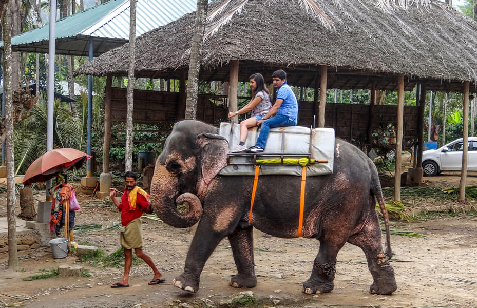 Kerala Escapade Image