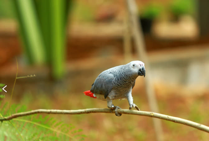 E3 Theme Park Wayanad Image