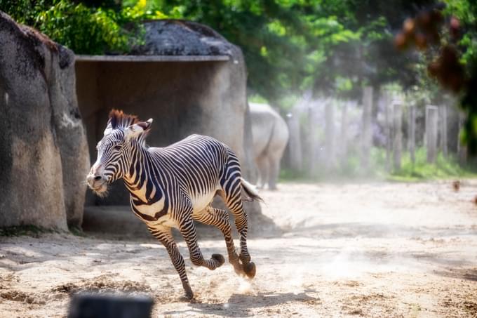 paris zoological park