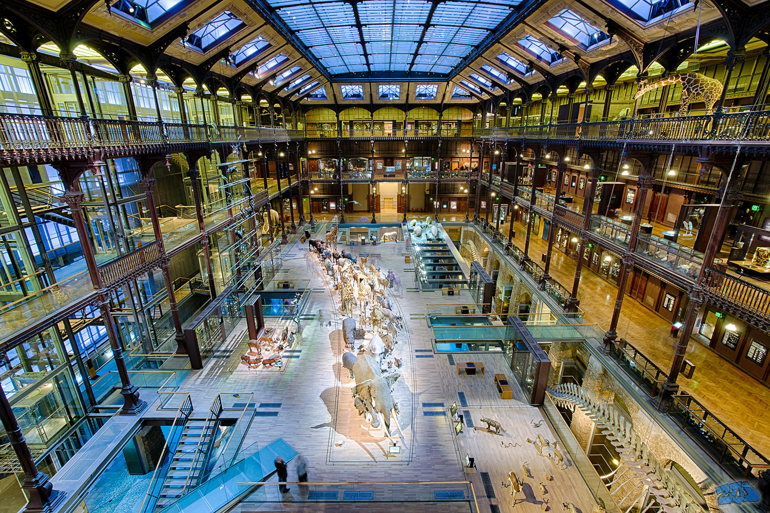 Grande Galerie de l'Evolution Overview