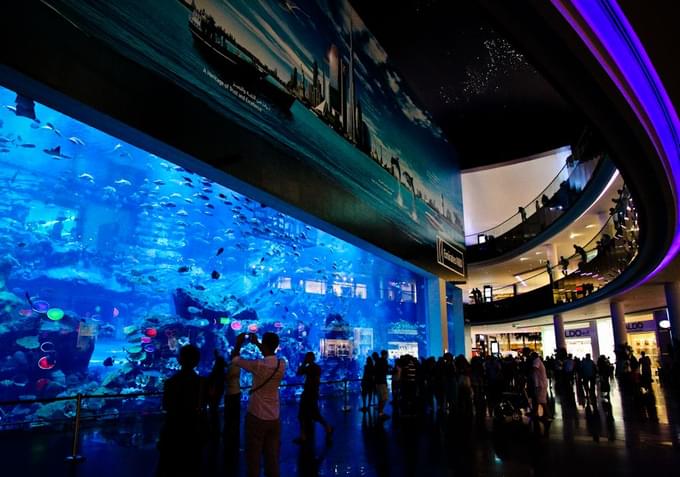 Dubai Aquarium Laguna Waterpark Dubai Tickets