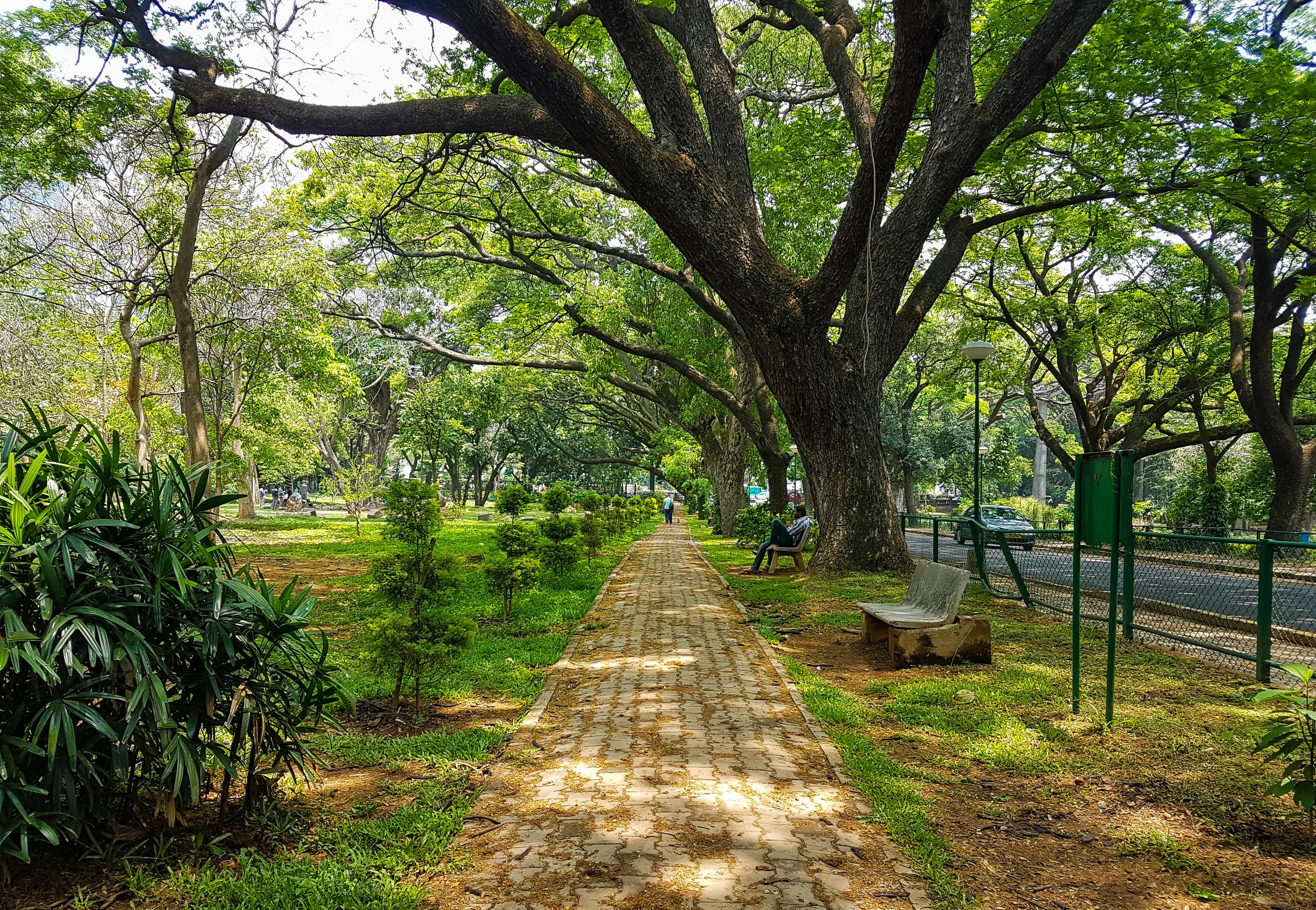Visit the Amphitheater