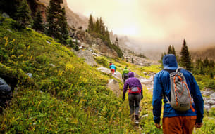 Kvrgpli3knakgamj4rbxo0wj9df6 meb3zq5if18p980y2m3hum39jf38 1587468227 20170801 blewis dear trail curmudgeon 1 1080x675