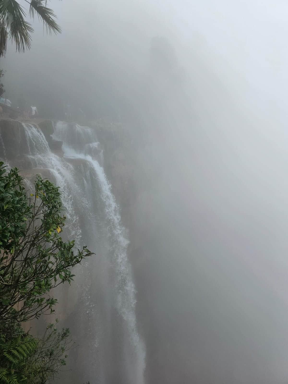 Photo from Ravi Gundher's trip