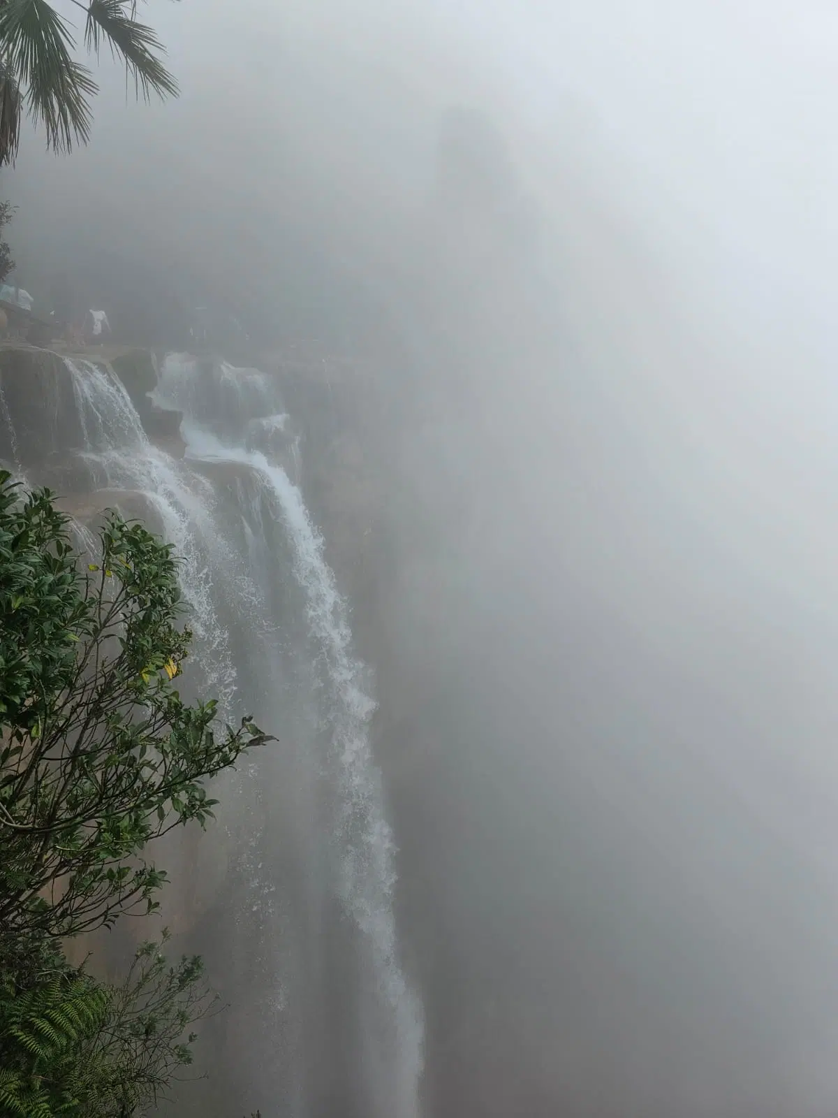 Photo from Ravi Gundher's trip