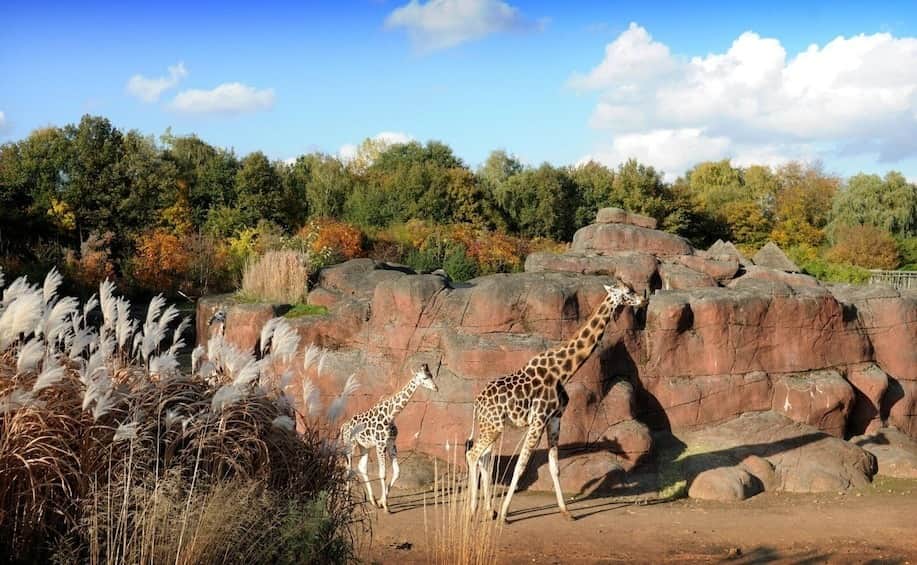 GaiaZOO, <em>Netherlands</em>