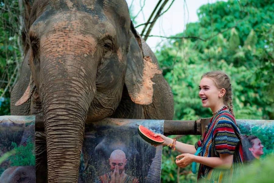 Phuket Elephant Sanctuary, <em>Phuket</em>