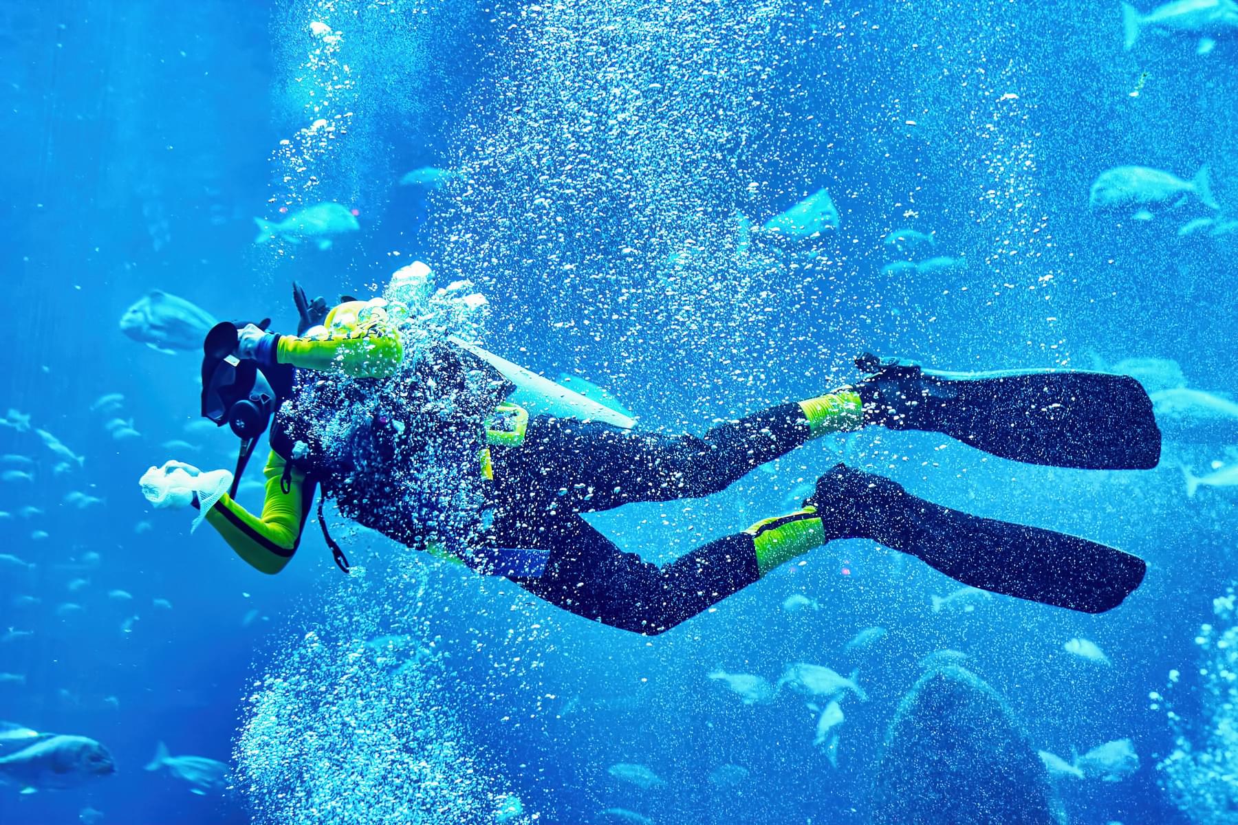 Tips for Scuba Diving in Dubai