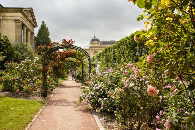 Jardin des Plantes