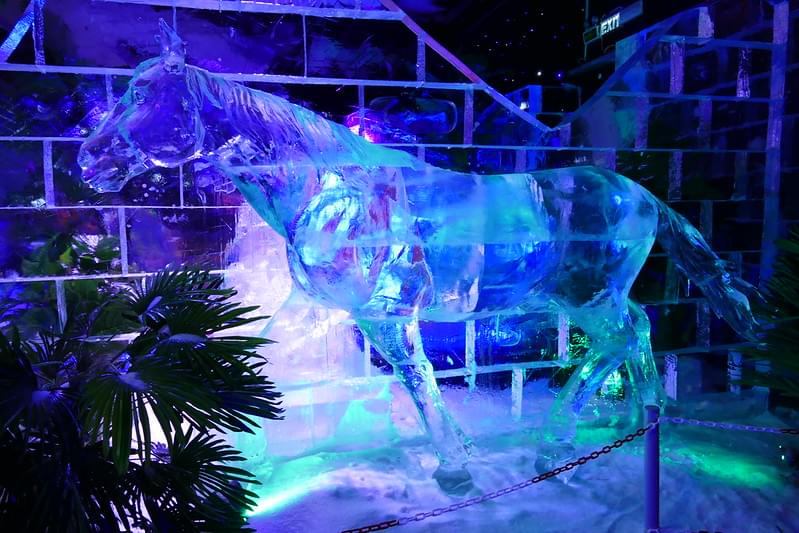 Ice Park at Dubai Garden Glow