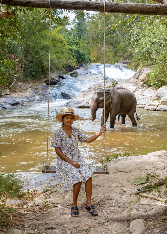 Phuket Elephant Jungle Sanctuary