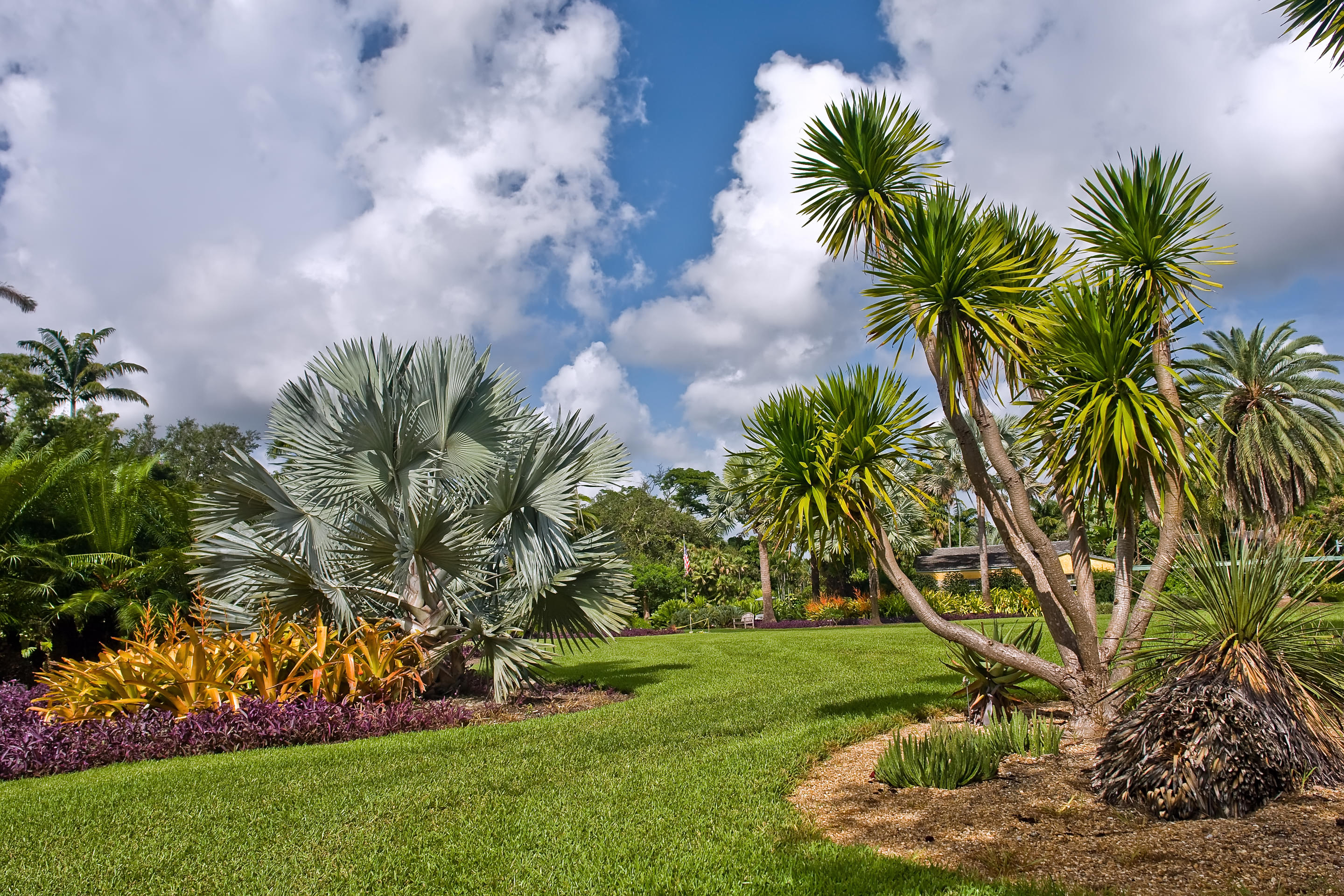 Fairchild Tropical Botanic Garden Overview