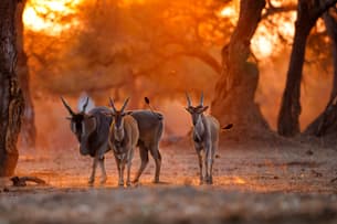 Kxpvb6wb5v617dx8rakt5ktjiiyc shutterstock 1531785236 min