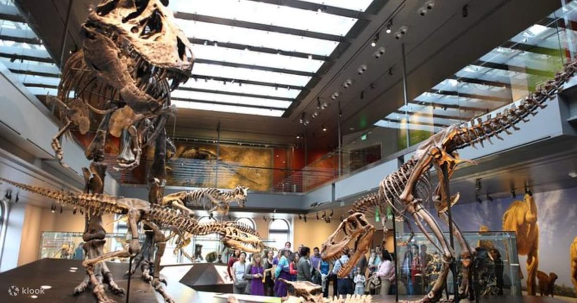 Natural History Museum of Los Angeles County Tickets, California Image