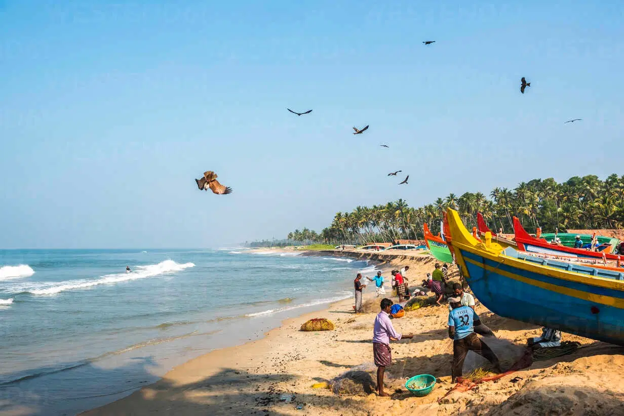 Join local fishermen during early hours