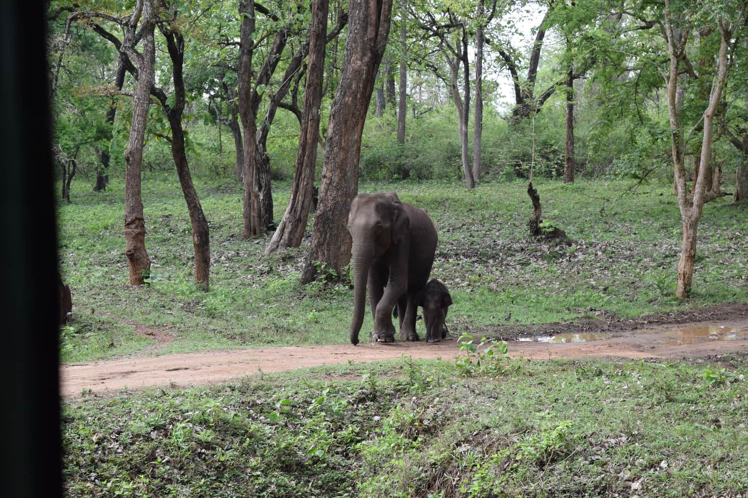 Photo from Sripad K  Devalkar's trip