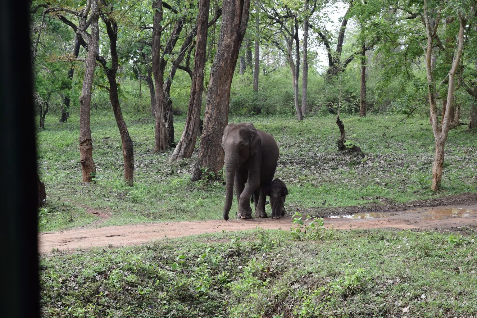 Photo from Sripad K  Devalkar's trip