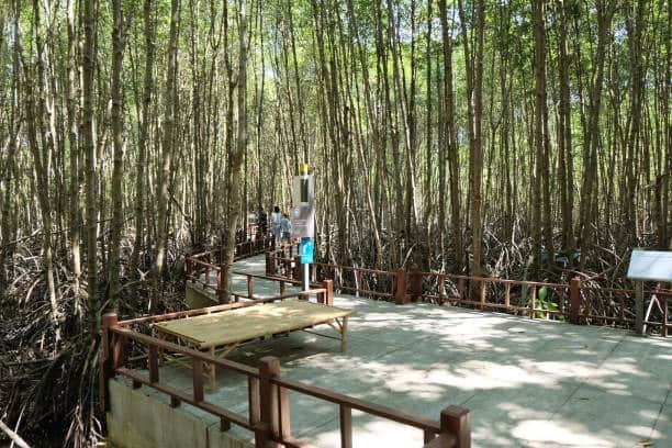 Visit nearby attractions