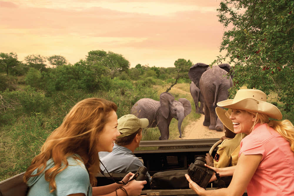 Best of South Africa Tour