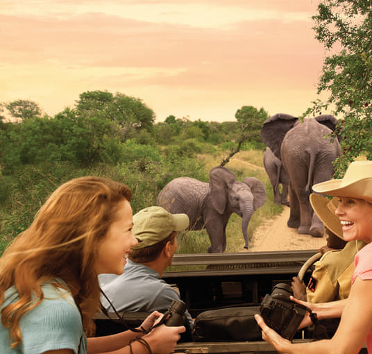 Enjoy thrilling Game Drive in Albertinia