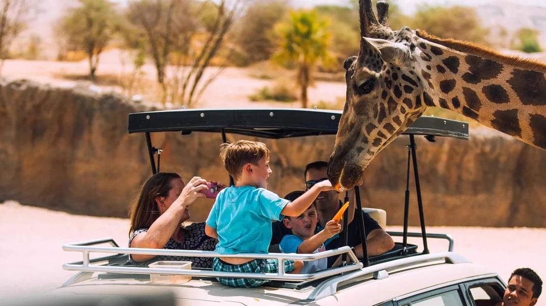 Witness the Fauna at Al-Ain Zoo