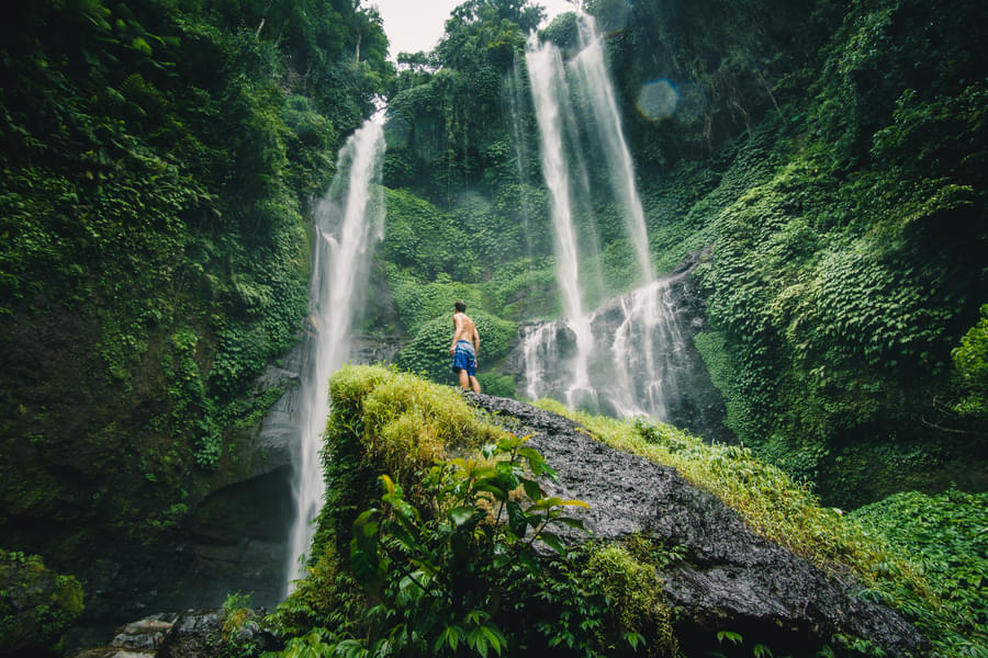 Sekumpul Waterfall Trekking Image