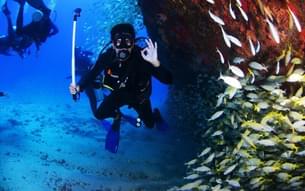 Enjoy a 30-minute Scuba Diving Adventure in the vibrant underwater world