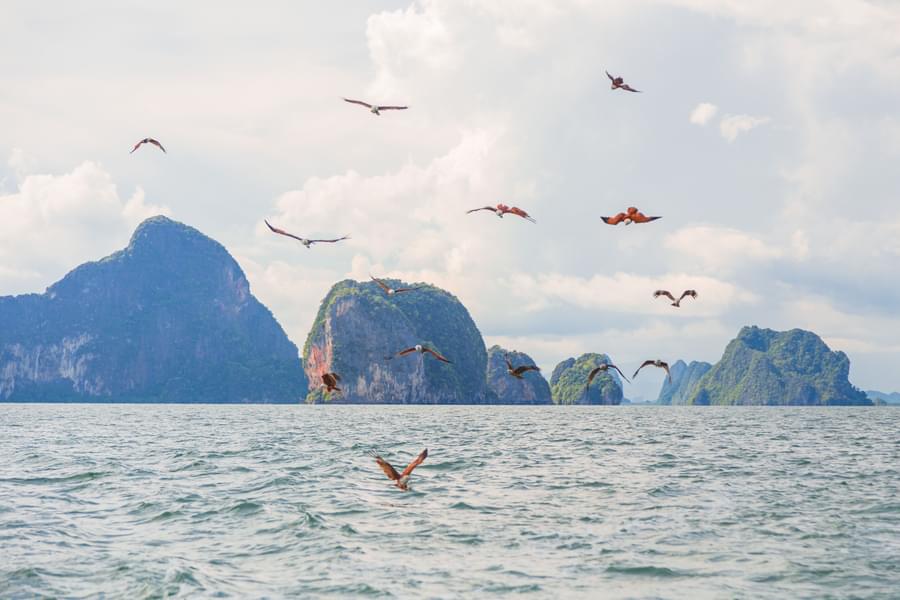 James Bond Island Tour