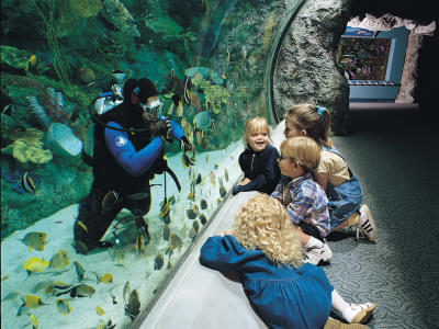 Visit Aquarium of the Pacific - the largest aquarium of Southern California 
