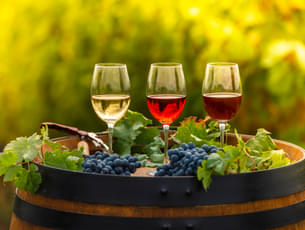 Go on Wine Tasting Tour in Mount Tamborine