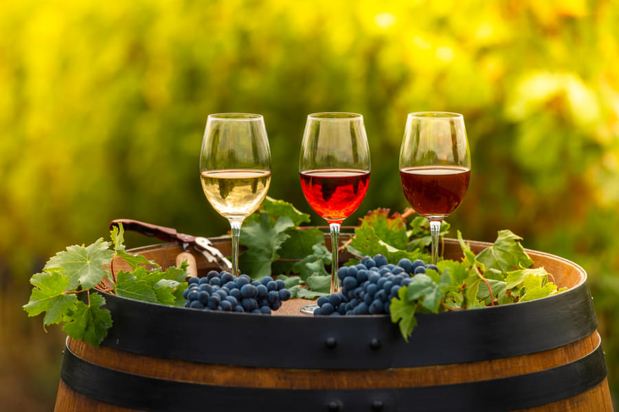 Mount Tamborine Wine Tasting Tours Image