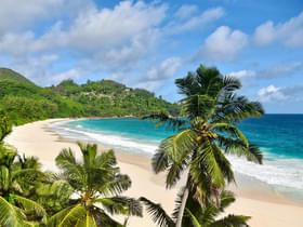 L1h5rmzws1q1covgcp6v3suvfpsg d050k vwsaaaajb