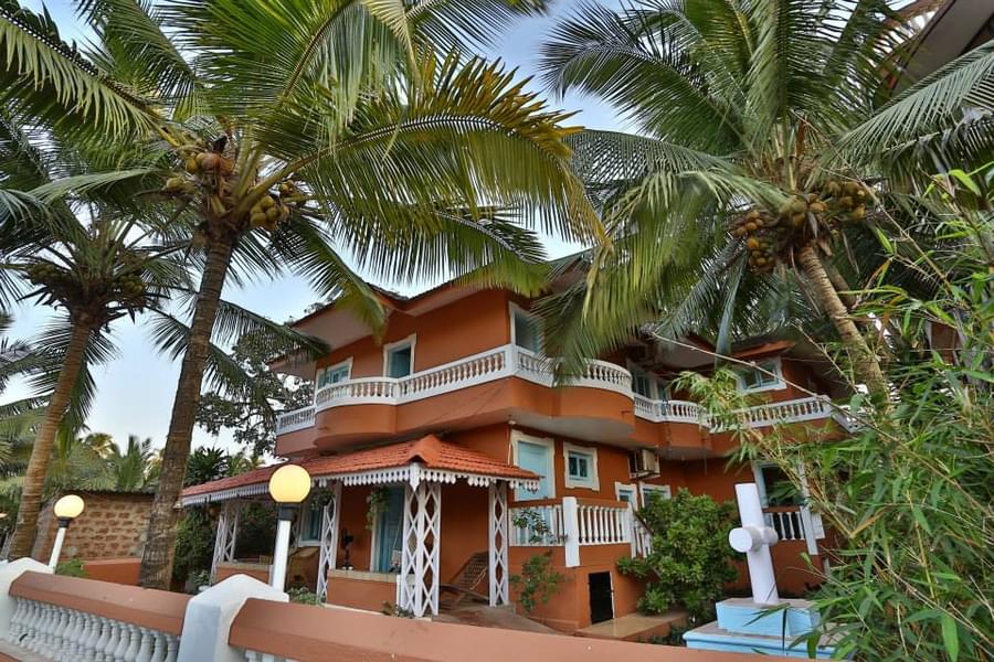 A Cozy Homestay Amidst The Lush Greens In Goa Image