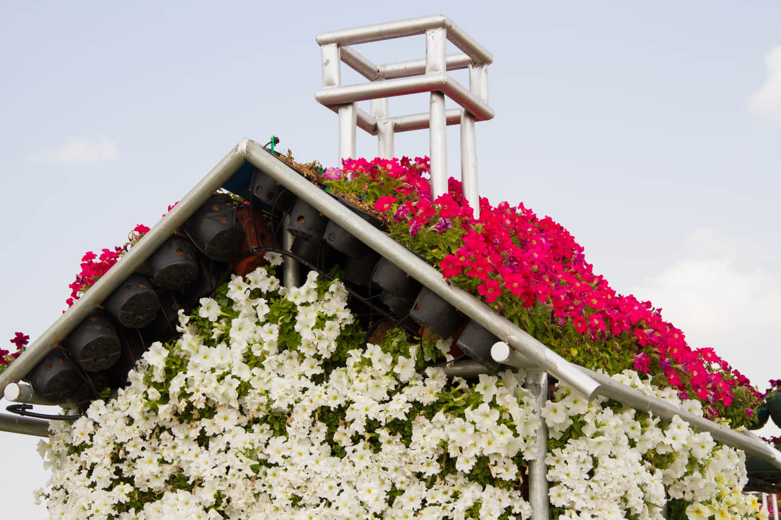 Dubai Butterfly Garden, <em>Dubai</em>