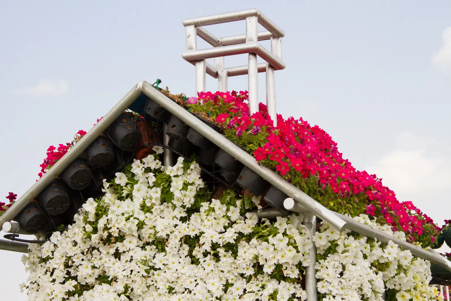 Dubai Butterfly Garden