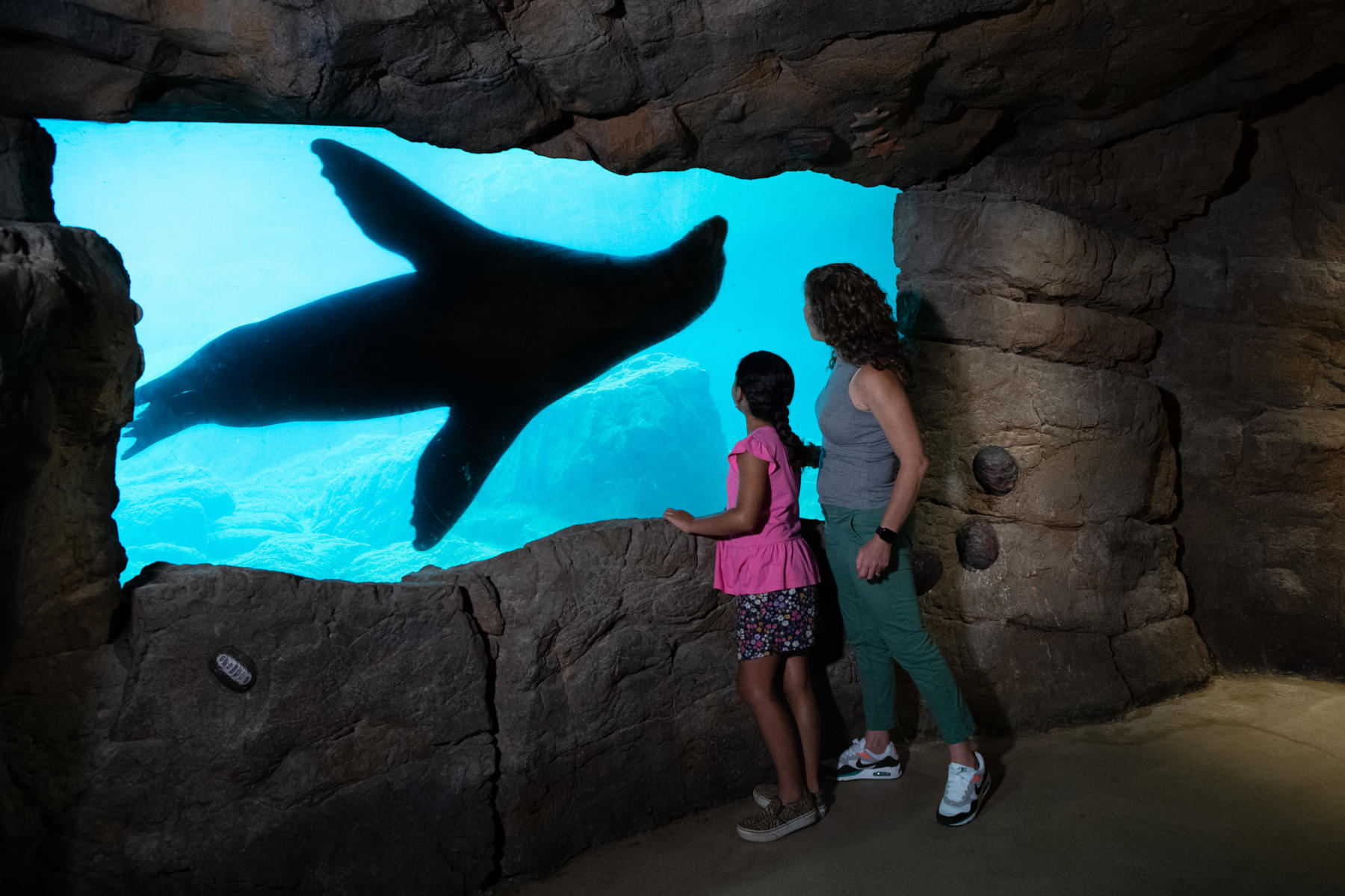 Join your littles ones in the journey of exploring New York Aquarium