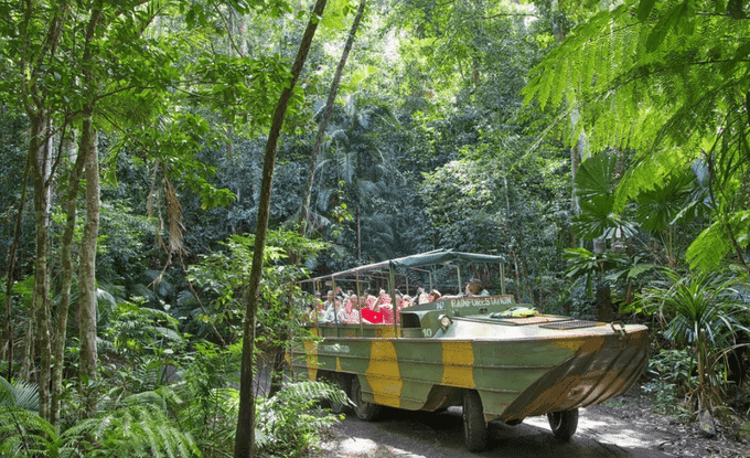 Things To Do In Daintree National Park