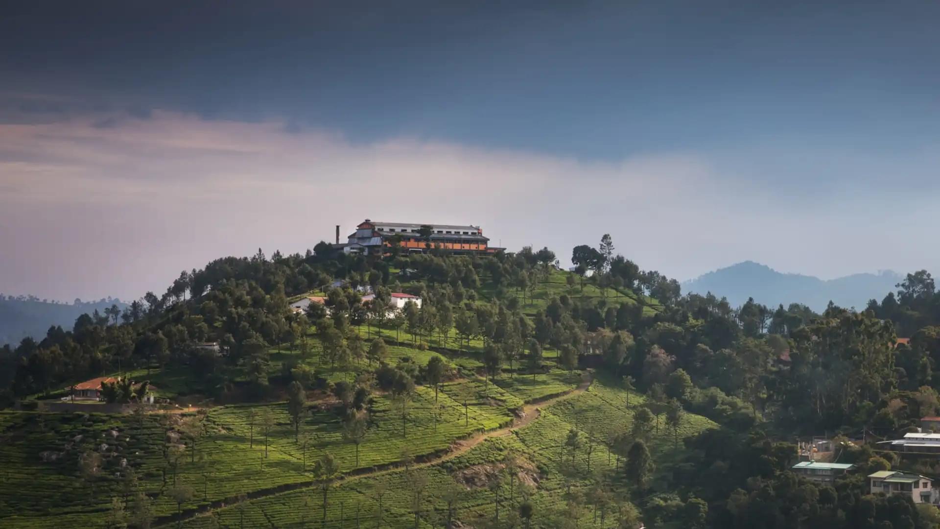 The Tea Factory & The Tea Museum Overview