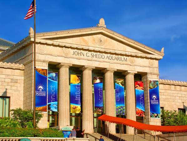 Shedd Aquarium