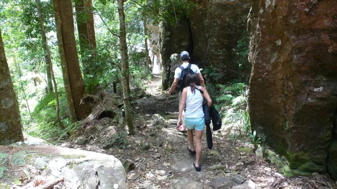 Springbrook National Park Tour