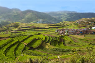 L3psonw1nc36qw9lf1xxqxdv9kza shutterstock 655818517