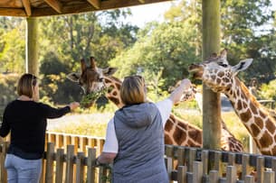 Orana Wildlife Park Tickets, New Zealand