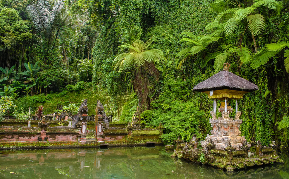 Balinese Purification Experience in Sebatu Holy Spring Water Temple Image